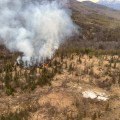 Fire burning in heavy timber sending up grey smoke from the Jonesville fire near Sutton.
