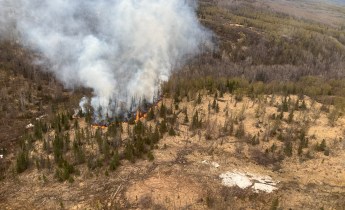 Fire burning in heavy timber sending up grey smoke from the Jonesville fire near Sutton.