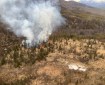 Fire burning in heavy timber sending up grey smoke from the Jonesville fire near Sutton.