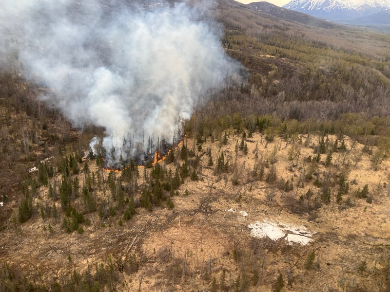 Photo of the Jonesville Fire burning in black spruce on May 25th. Taken from helicopter.