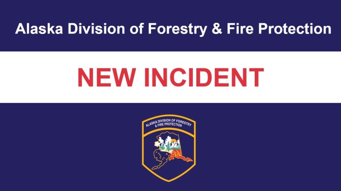 DFFP New Incident Graphic