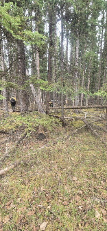 TCC Crew cold trailing spots on north side of river on the Sawmill Creek Fire (#079) 