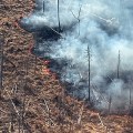 A wildland fire smokes as it burns.