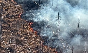 A wildland fire smokes as it burns.