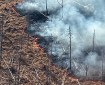 A wildland fire smokes as it burns.