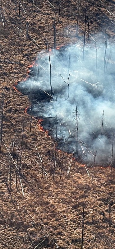 A wildland fire smokes as it burns.
