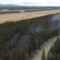 This is an aerial photograph showing a wildland fire in a forested area next to an agricultural field.