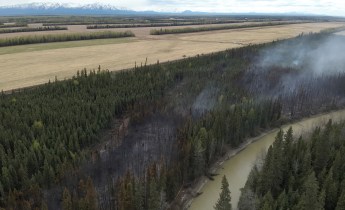This is an aerial photograph showing a wildland fire in a forested area next to an agricultural field.