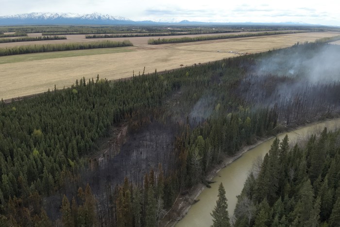 This is an aerial photograph showing a wildland fire in a forested area next to an agricultural field.