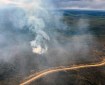 Smoke rises up from a green covered landscape interspersed with dead trees.