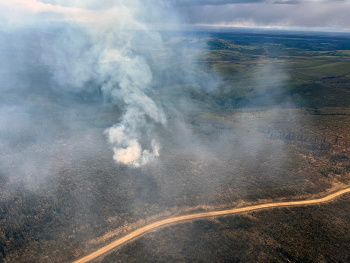 Smoke rises up from a green covered landscape interspersed with dead trees. 