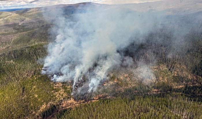 A large amount of smoke drifts up from a burned patch of ground.