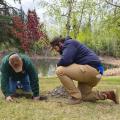 State Forester Jeremy Douse, along with Forest Inventory Lead, Dave Rhodes plant a tree outside of Department of Natural Resources in Fairbanks Alaska. 2025
