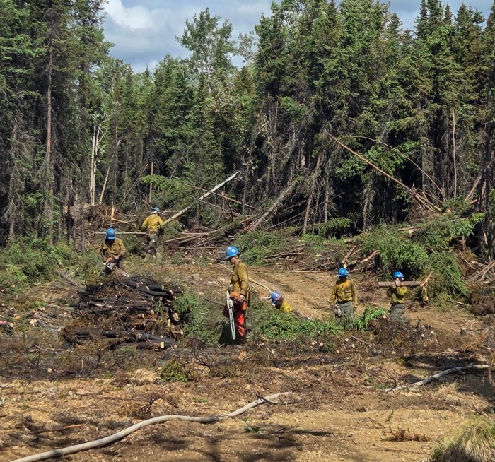 Fairbanks 1 Type 2 Crew cutting out trees on Starry Fire (#234)