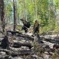 Firefighters constructing saw line around the Grandview fire perimeter.