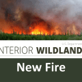 U.S. Wildland Fire Service graphic for a new fire featuring a photo of a forest fire.
