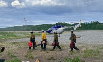 4 Pioneer Peak Hotshot Crewmembers carry equipment to helicopter.