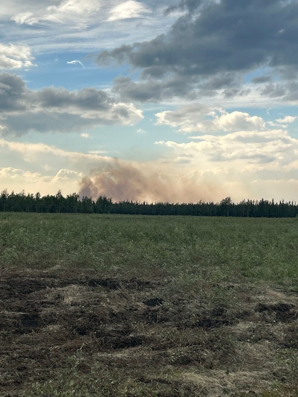 Ground view of the Rapeseed Fire (#275) east of Delta.