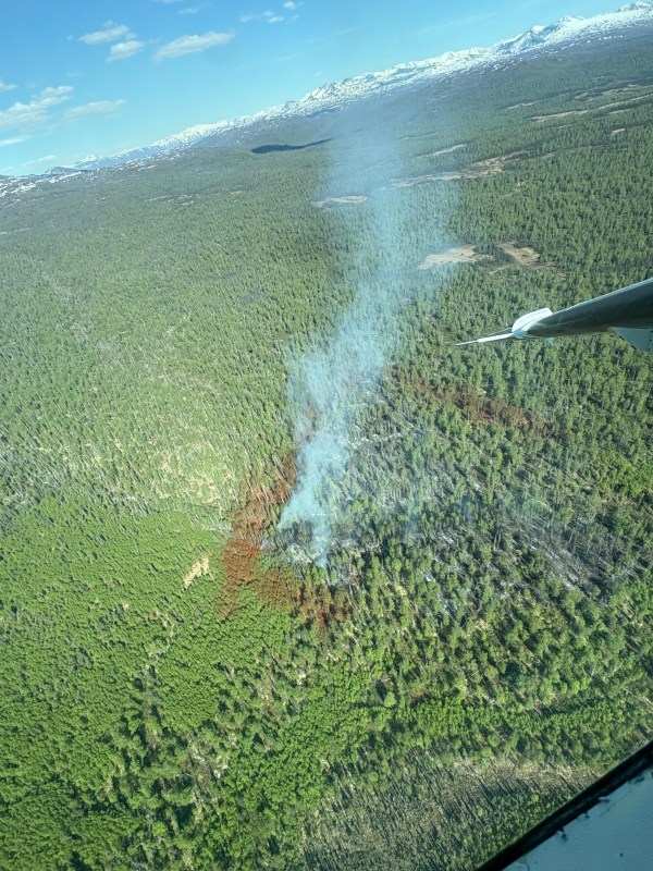 Aerial view from air attack of the retardant drops on the Mastadon Fire #131. PC:DFFP