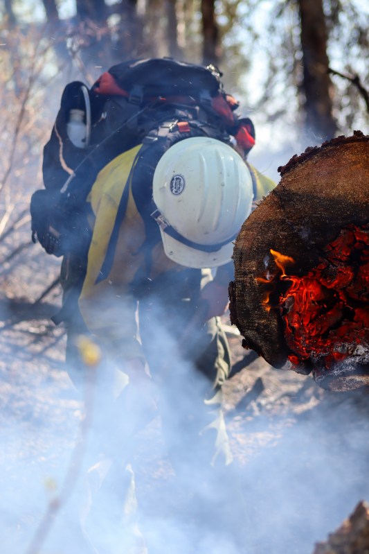 Member of Mat-Su Fire Crew works to extinguish hot spots with pulaski tool along Mastadon Fire (#131) perimeter.