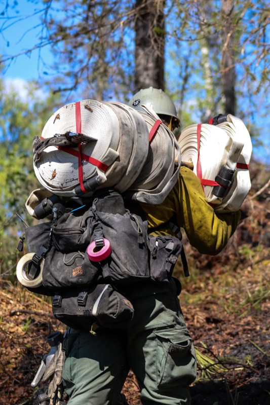 Member of Pioneer Peak Interagency Hot Shot Crew hikes in rolls of hose and hose valves.