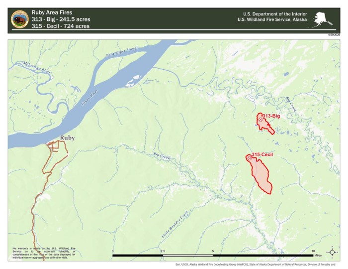 A wildland fire location map titled "Ruby Area Fires," that shows two fire perimeters (outlined in red, shaded pink) east of the village of Ruby, Alaska, which sits on the south bank of the Yukon River. The Yukon River flows across the upper-left portion of the map, joined by Bootlegger Slough and the Melozitna River, with Ruby's local road network shown in orange. To the east, two fires are marked with red outlines and burning symbols: 313-Big (241.5 acres) — the smaller, northern fire, an elongated shape located near Big Creek and 315-Cecil (724 acres) — the larger, southern fire, a longer north-south oriented shape located near Little Boulder Creek.