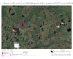 Mingkoket (#321) and Chalatna (#323) fires are very close to each other amidst tundra ponds and are west of Kanuti Fire #304, also located in tundra area with numerous small ponds and waterways. Two Native allotments are to the northeast of Kanuti Fire (#304).