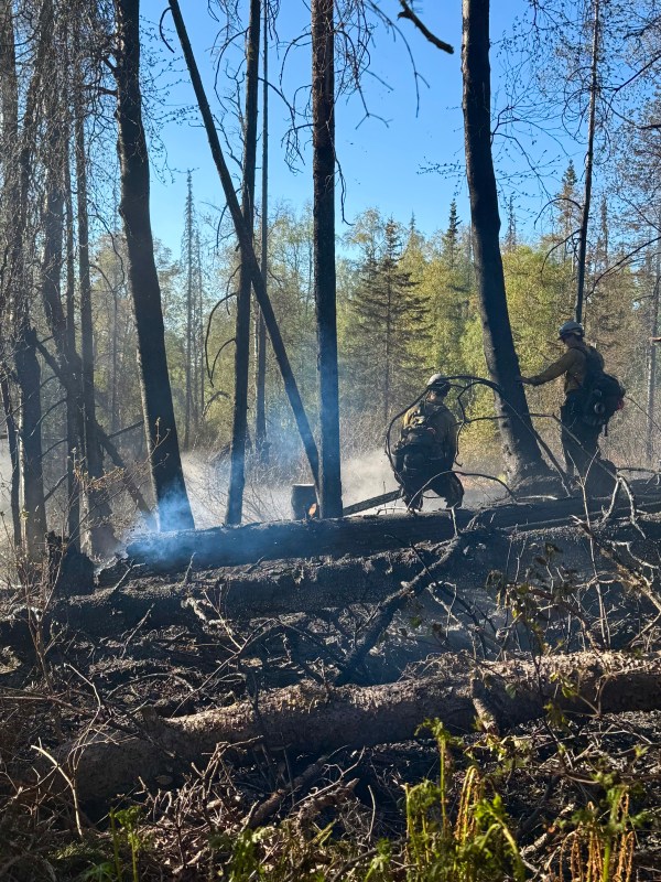 Two members of Pioneer Peak Hotshot Crew stand in the black, assessing hazard trees.
