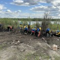 Wildland firefighters dig for hotspots in a driftwood pile.
