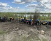 Wildland firefighters dig for hotspots in a driftwood pile.