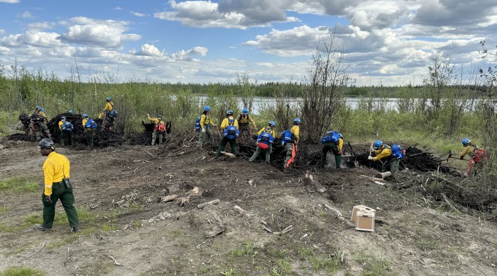 Wildland firefighters dig for hotspots in a driftwood pile.