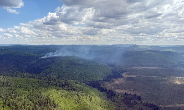 Smoke rises from a forested area.