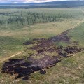 The burned tundra of a wildland fire.