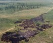 The burned tundra of a wildland fire.