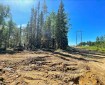 Intersection of powerline corridor and dozer line on Grandview Fire.