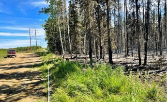 Photo of northern edge of Grandview Fire along transmission line corridor. Right side is burnt, while left side of corridor is green.