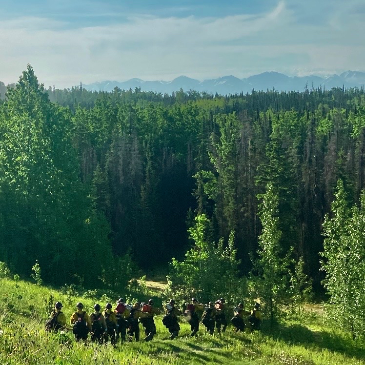 Gannet Glacier Crew hiking in a line into woods carrying gear.