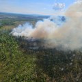 Photo of fire burning in black spruce with column of smoke, taken from helicopter.