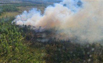 Photo of fire burning in black spruce with column of smoke, taken from helicopter.