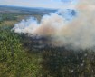 Photo of fire burning in black spruce with column of smoke, taken from helicopter.