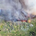 Smoke rises from a wildland fire.