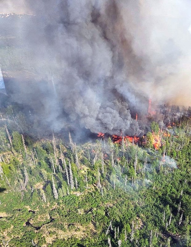Smoke rises from a wildland fire.