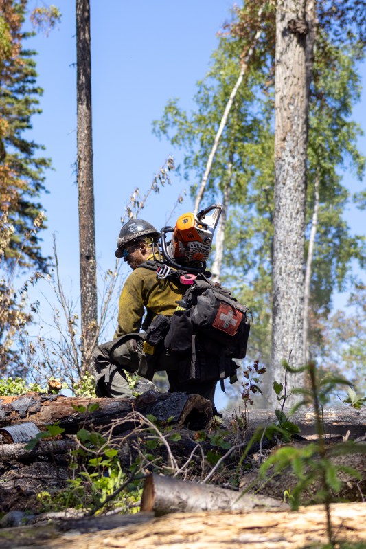 Photo of firefighter carrying line pack and saw over shoulder kneels down to feel for heat along ground.