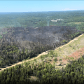 Photo of Grandview Fire (burnt, blackened area surrounded by green trees) taken from helicopter. The fuel break, a cleared strip of land, can be seen along the northern edge of the fire perimeter. The fire perimeter stops at the fuel break.