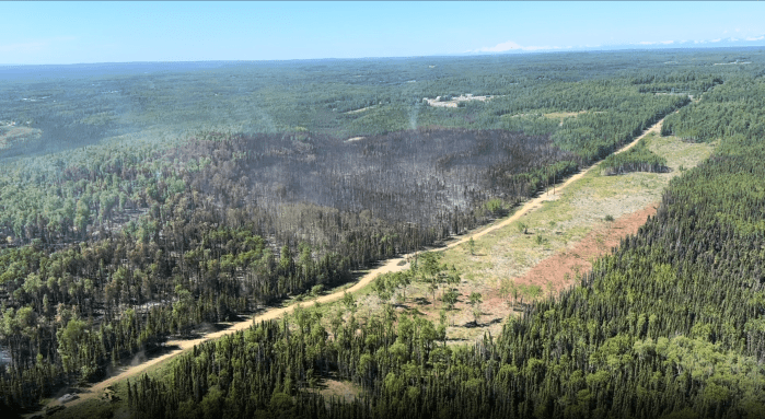 Photo of Grandview Fire (burnt, blackened area surrounded by green trees) taken from helicopter. The fuel break, a cleared strip of land, can be seen along the northern edge of the fire perimeter. The fire perimeter stops at the fuel break.