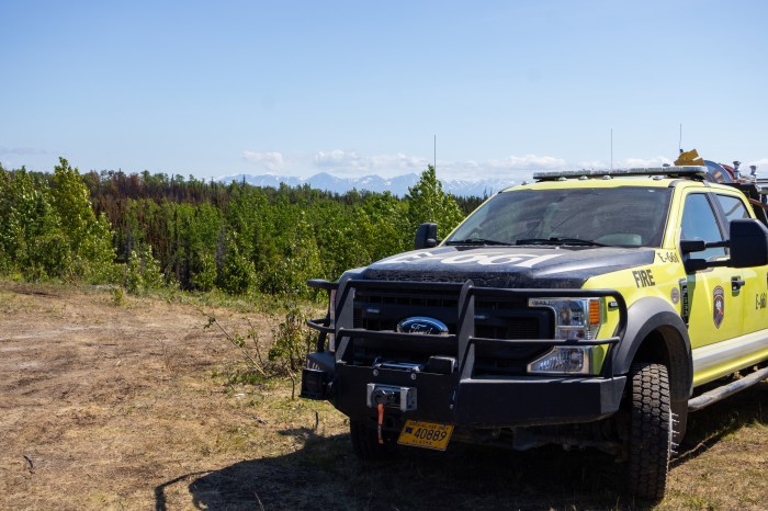Photo of DFFP engine in foreground with burnt trees surrounded by green trees in the background.