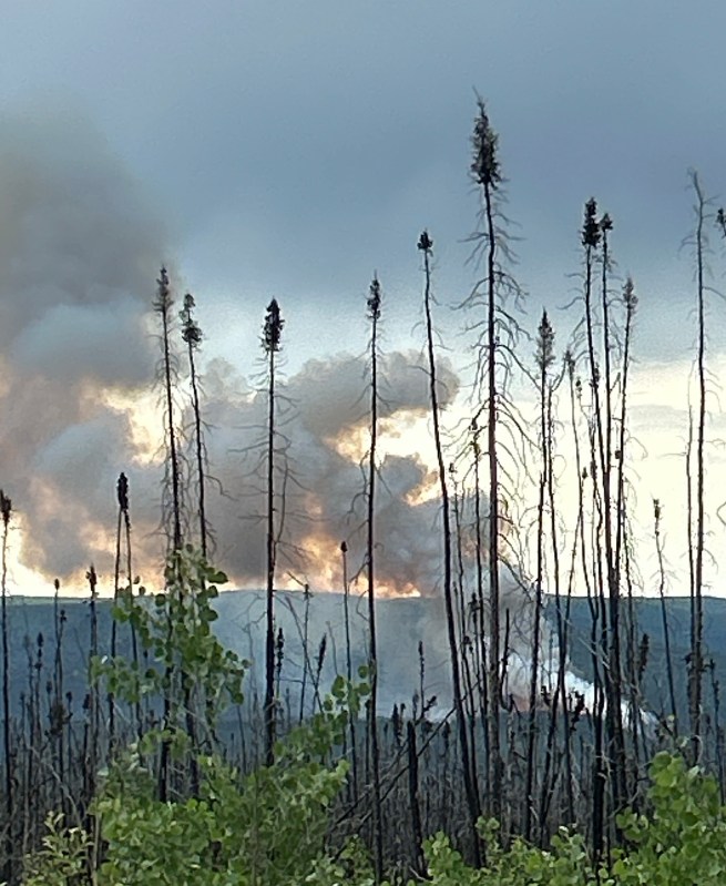 Smoke rises from a wildland fire.