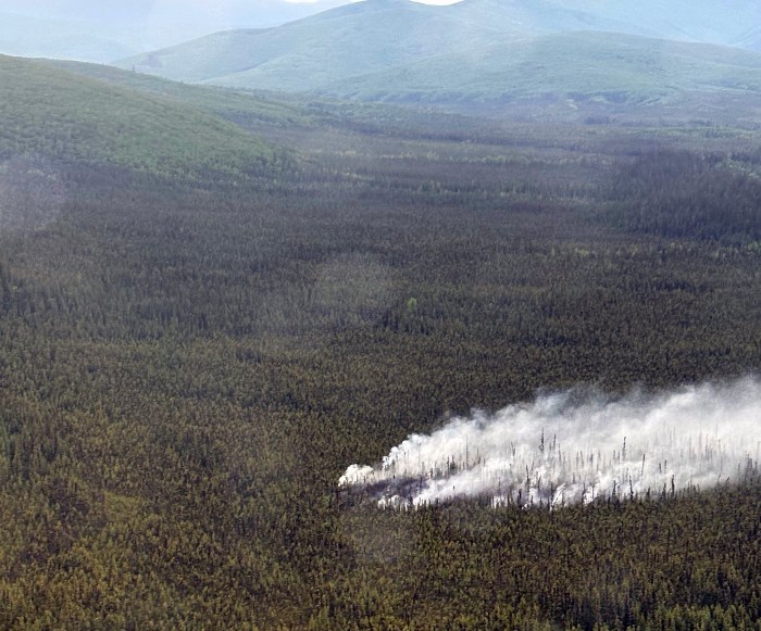 Smoke rises from a wildland fire.