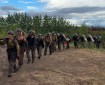 Firefighters carrying gear and equipment, walking back to camp in a line.