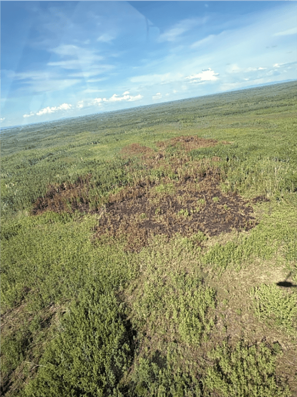 Aerial photo of wildfire burned area.